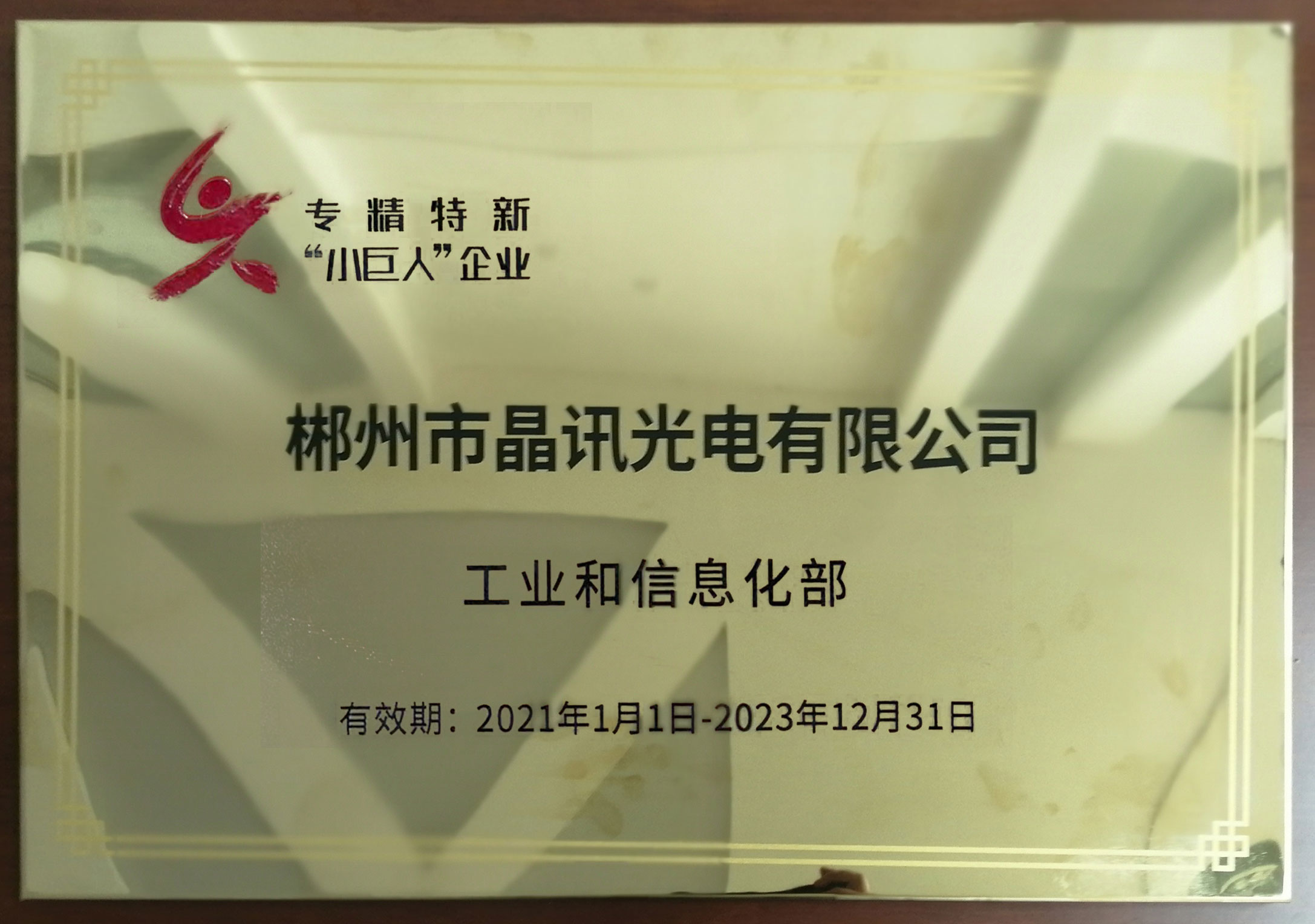 國家級專,精,特,新,小巨人企業
